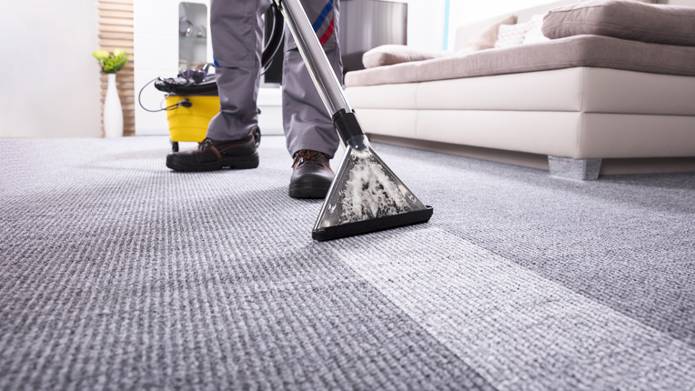 Aprenda como limpar carpetes da sua casa